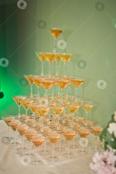 Скачать Высокая гора шампанского на свадебном банкете 2642. фотосток Ozero