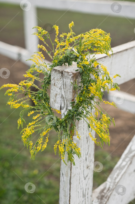 Скачать Венок из зелено-желтых цветов на деревянном белом заборе 3520. фотосток Ozero