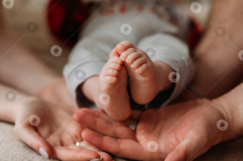 Скачать Ножки ребенка и руки родителей 3634. фотосток Ozero