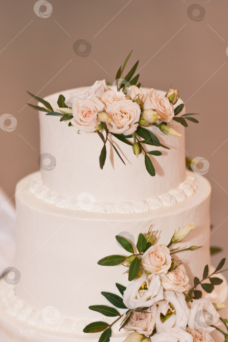 Скачать Красивый и нежный дизайн свадебного торта для жениха и невесты 2674. фотосток Ozero