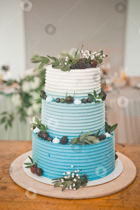 Скачать Красивый большой торт с натуральными ягодами 2845. фотосток Ozero