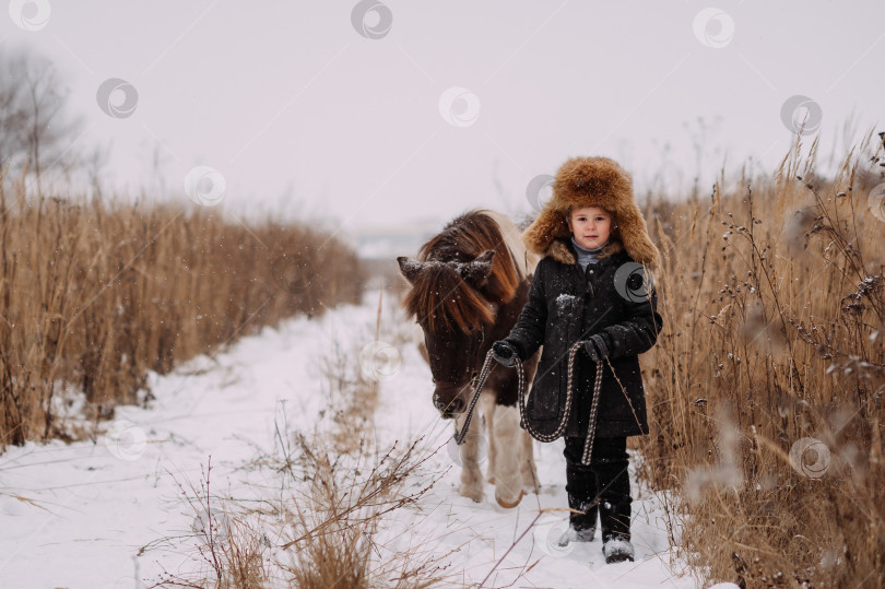 Скачать Девочки и пони среди зимнего тростника 3104s фотосток Ozero