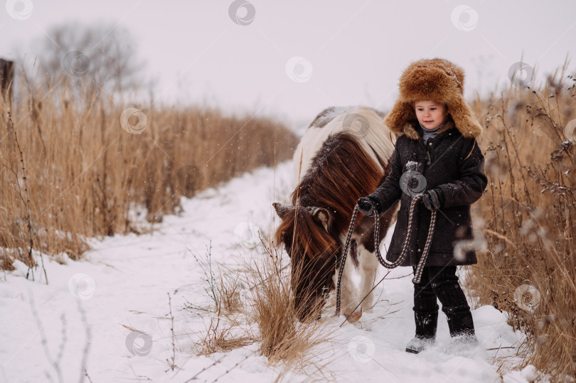 Скачать Девочки и пони среди зимнего тростника 3106s фотосток Ozero