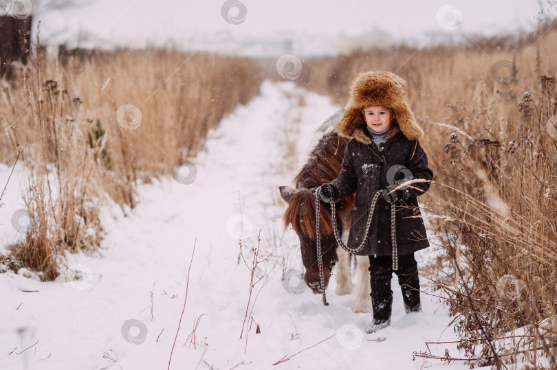 Скачать Девочки и пони среди зимнего тростника 3107s фотосток Ozero