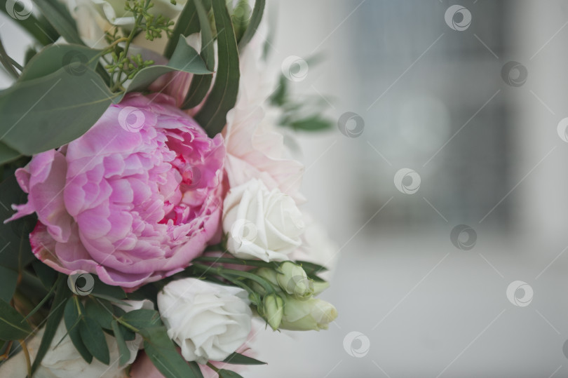 Скачать Большая фотография розовых и белых роз на фоне окна 23 фотосток Ozero