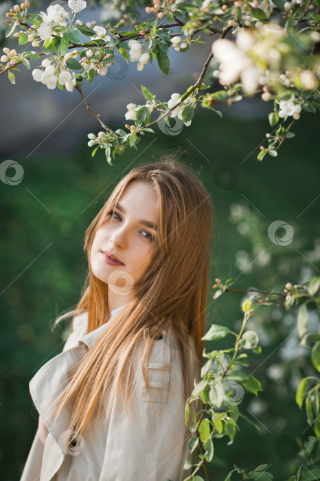 Скачать Портрет рыжеволосой красавицы на фоне цветущей вишни 297 фотосток Ozero