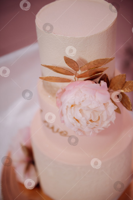 Скачать Стильный свадебный торт с листьями 3818. фотосток Ozero