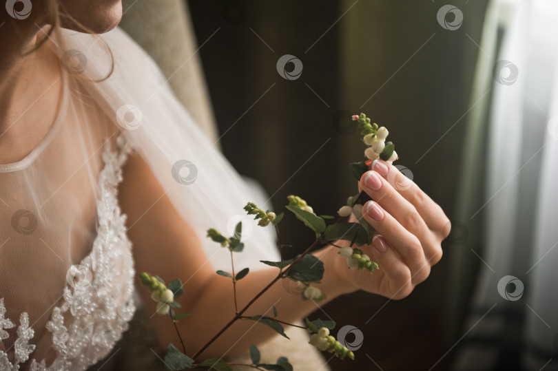 Скачать Невеста прикасается руками к ветке 3194. фотосток Ozero