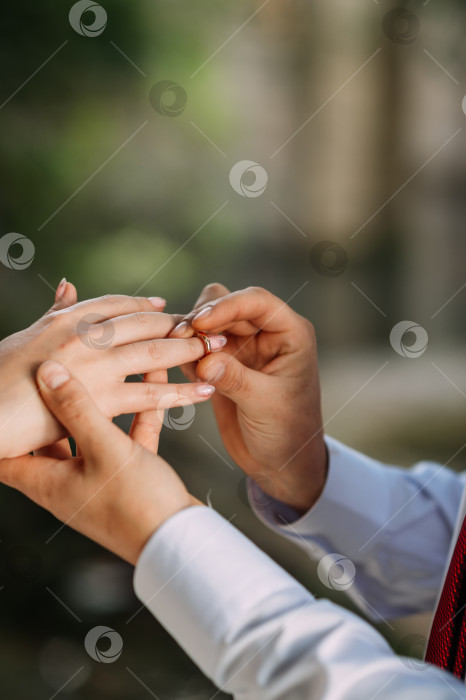 Скачать Нежное объятие рук молодоженов с обручальными кольцами 3185. фотосток Ozero