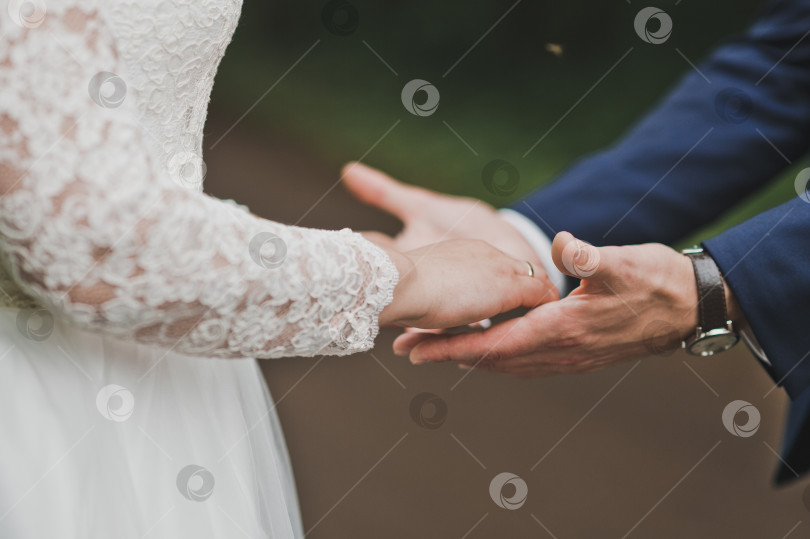 Скачать Жених держит руки невесты в своих ладонях 2607. фотосток Ozero