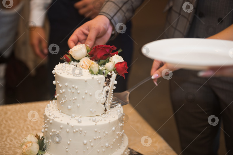 Скачать Процесс нарезки торта на кусочки 3149. фотосток Ozero