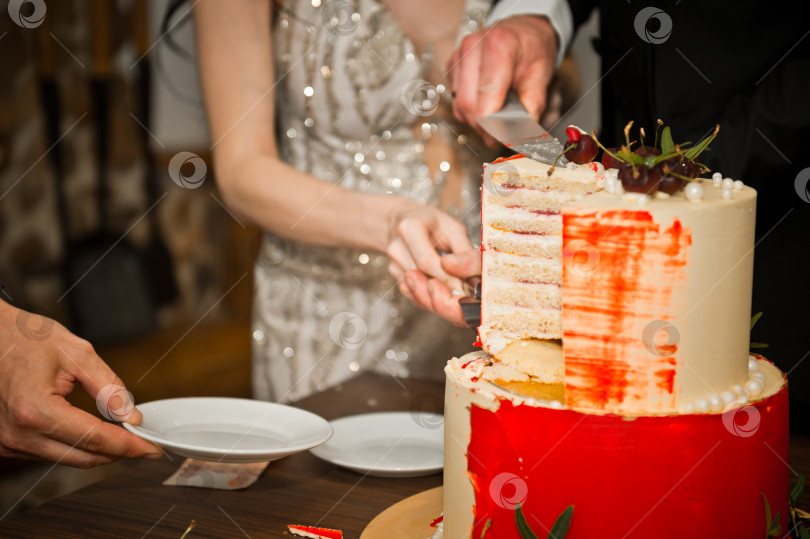 Скачать Бело-красный торт с ягодами вишни 3931. фотосток Ozero