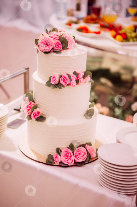 Скачать Белый торт с розовыми цветами 3855. фотосток Ozero