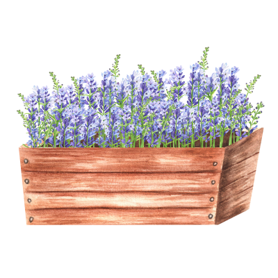 [object Object] undefined