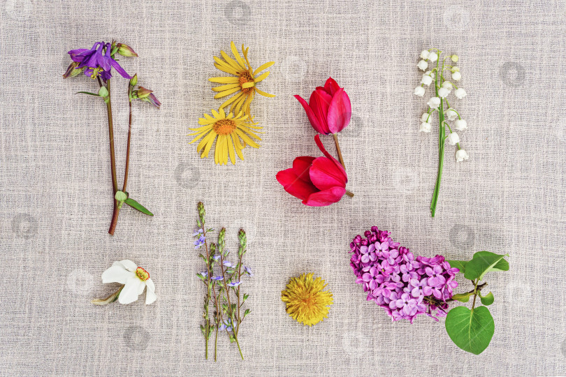 Скачать Различные цветы на ткани фотосток Ozero