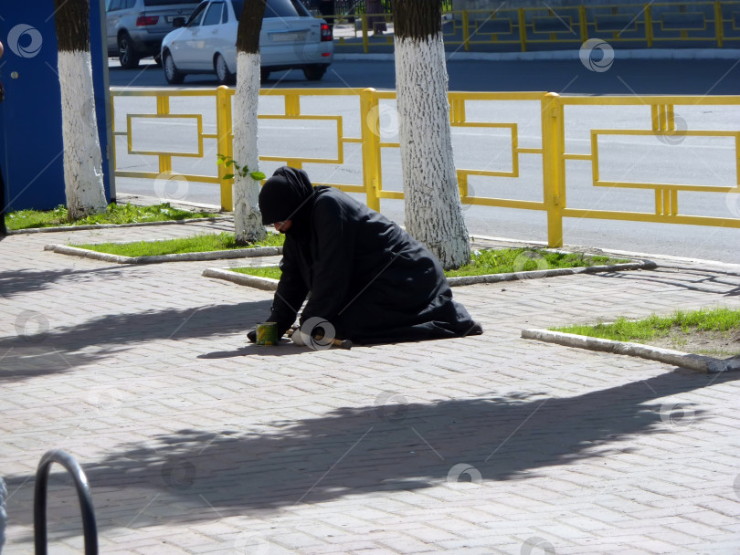 Скачать Пенза, Россия - май 2024: Попрошайка фотосток Ozero