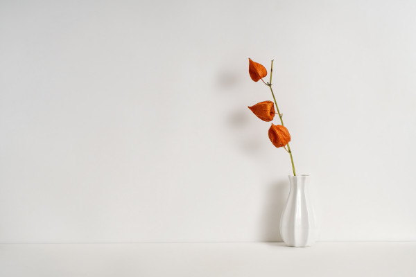[object Object] undefined