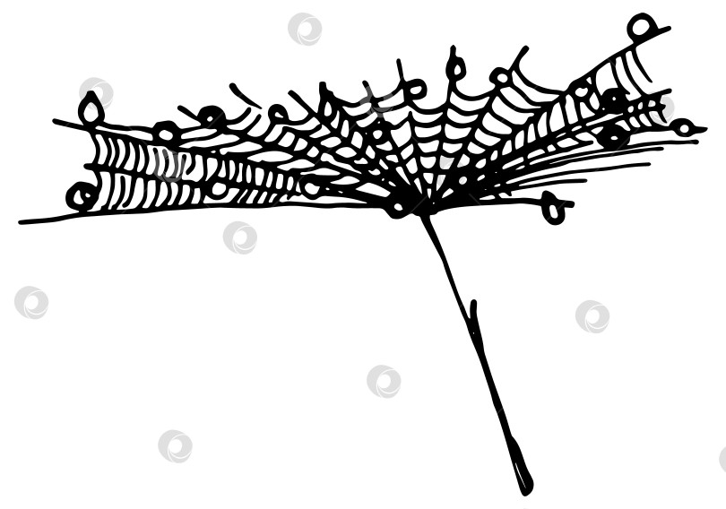 Скачать Нарисованное от руки пушистое зонтичное семя одуванчика, покрытое паутиной, с капельками росы, развевающимися на ветру фотосток Ozero