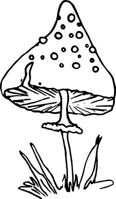 [object Object] undefined