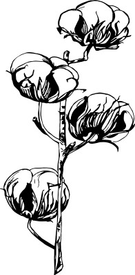 [object Object] undefined