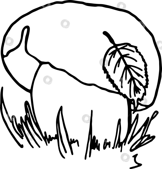Скачать Нарисованный от руки рисунок гриба с маленьким листочком, упавшим на его шляпку, в стиле каракулей для книжки-раскраски фотосток Ozero