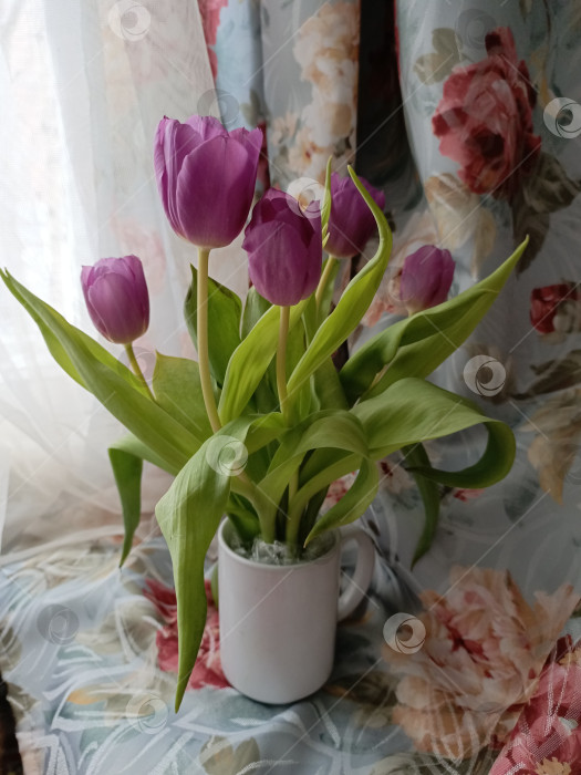 Скачать Букет тюльпанов на столе у окна фотосток Ozero