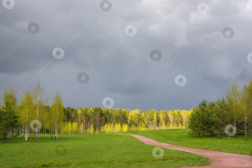 Скачать Весенний лес и зеленая трава на фоне грозовых облаков. Весенний природный пейзаж. фотосток Ozero