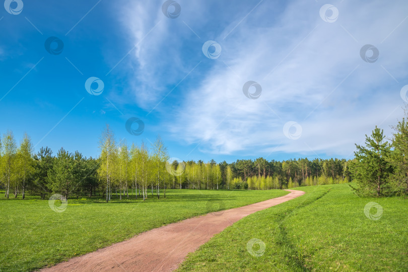 Скачать Весенний лес, зеленая трава и грунтовая дорожка на фоне красивых облаков с голубым небом. Весенний природный пейзаж. фотосток Ozero