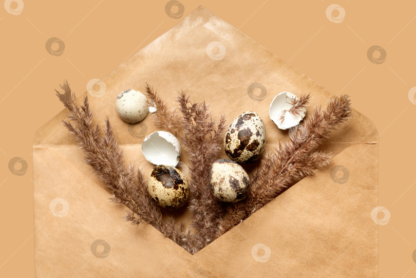 Скачать Композиция "Счастливая Пасха" с маленькими яйцами, сушеной травой и цветами в конверте из крафтовой бумаги фотосток Ozero