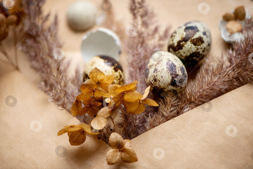 Скачать Композиция "Счастливая пасха" с маленькими перепелиными яйцами и сушеной пушистой травой и цветами гортензии на поверхности из крафт-бумаги фотосток Ozero
