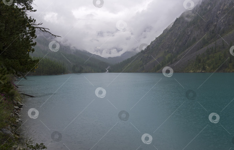 Скачать Горное озеро в дождливый день. Алтай, Россия. фотосток Ozero