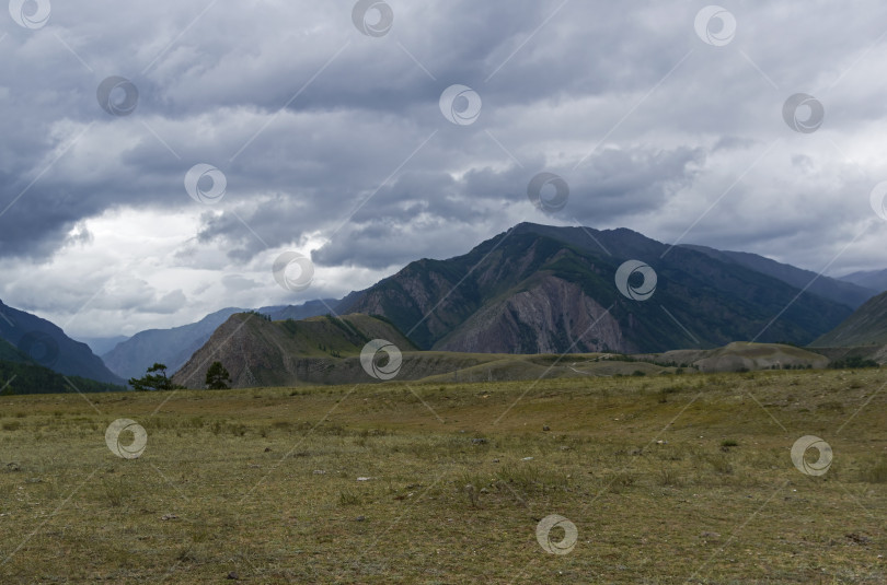 Скачать Низкие облака в долине реки Чуя. Алтай, Россия. фотосток Ozero