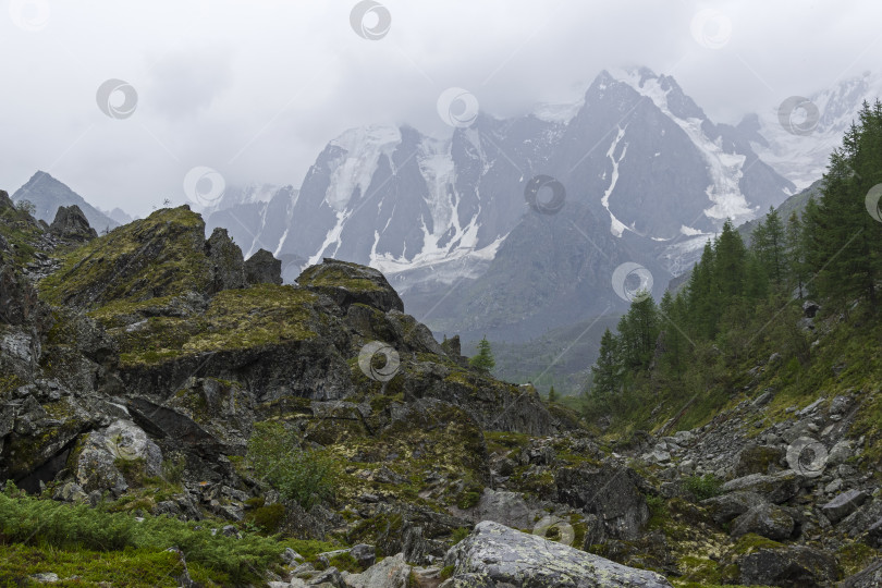 Скачать Долина реки Шавла. Горный Алтай, Россия. фотосток Ozero