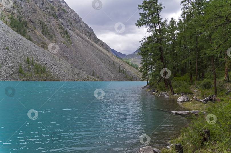 Скачать Горное озеро в пасмурный день. Алтай, Россия. фотосток Ozero