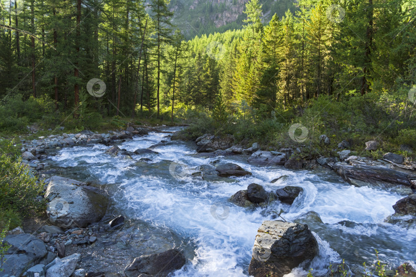 Скачать Небольшая речка в горах Алтая. Россия. фотосток Ozero