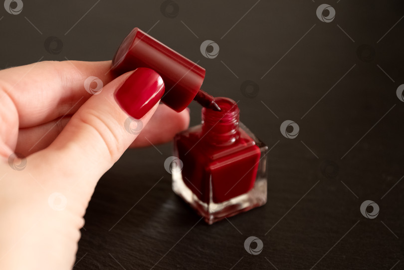 Скачать Женская рука с наманикюренными красными ногтями держит кисточку из открытого маленького флакончика с лаком для ногтей фотосток Ozero