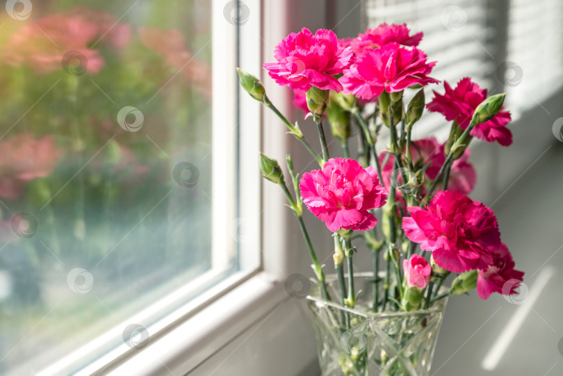 Скачать букет розовых гвоздик в вазе на подоконнике отражается в оконном стекле фотосток Ozero