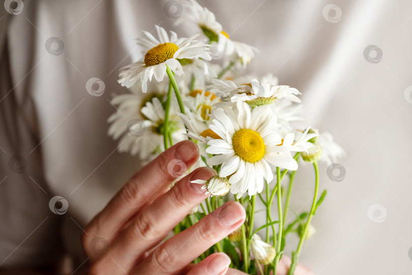 Скачать Женщина держит в руках букет белых цветов ромашки фотосток Ozero