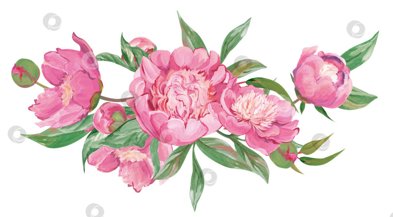 Скачать Букет из розовых пионов и отдельных ботанических элементов фотосток Ozero