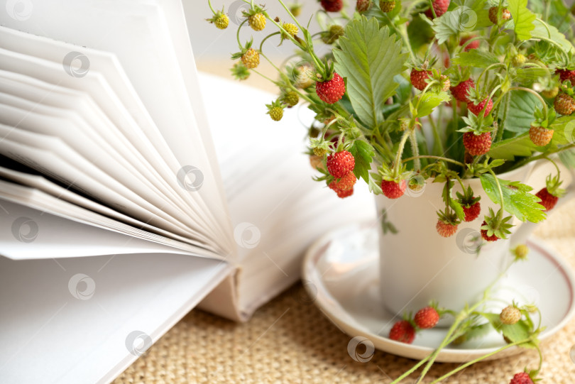 Скачать спелые красные ягоды лесной земляники на веточках собраны в пучок в чайной чашке рядом с открытой книгой фотосток Ozero
