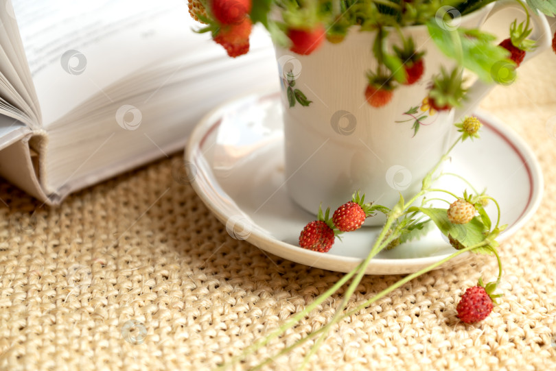 Скачать спелые красные ягоды лесной земляники на веточках собраны в пучок в чайной чашке рядом с открытой книгой летний набор фотосток Ozero