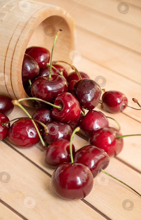 Скачать спелые сладкие вишни рассыпаны по деревянной поверхности стола фотосток Ozero