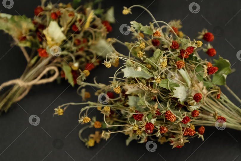 Скачать Пучок сушеных веточек лесной земляники с ягодами на темной поверхности стола. Фитотерапевтическое средство фотосток Ozero