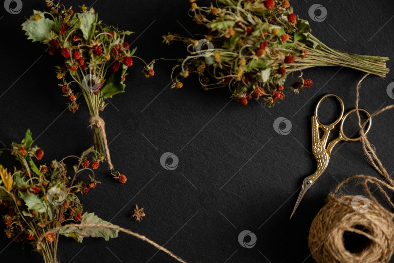 Скачать сушеные веточки лесной земляники с ягодами, связанные в небольшой пучок грубой бечевкой. Фитотерапевтическое средство, рамка с пробелом для текста фотосток Ozero