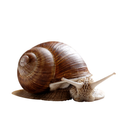 [object Object] undefined