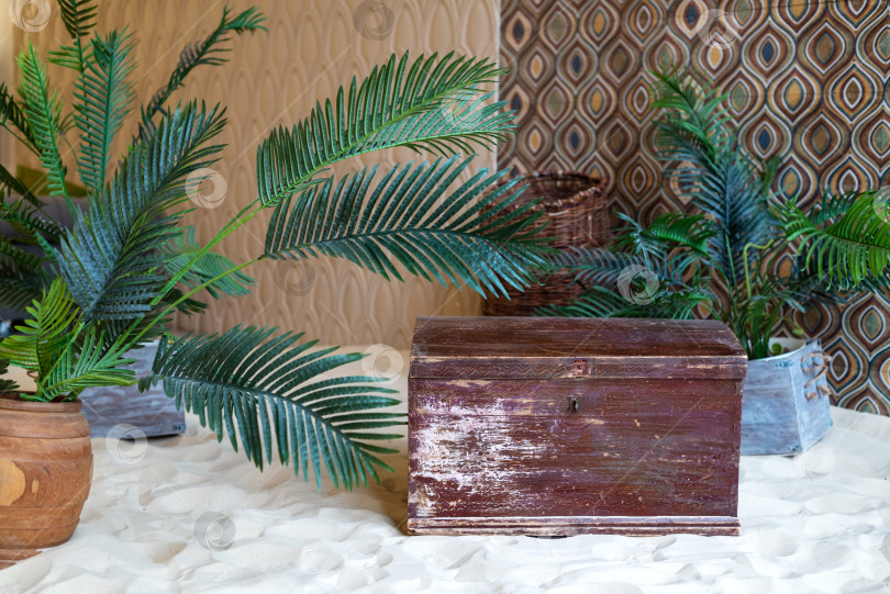 Скачать Номер оформлен в стиле бохо со старым сундуком, зелеными тропическими растениями и песком на полу фотосток Ozero