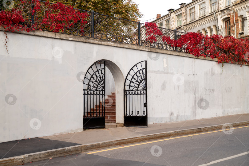 Скачать кованые железные ворота в бетонной стене, увитые ветвями дикого винограда, у входа в общественный парк осенним днем фотосток Ozero