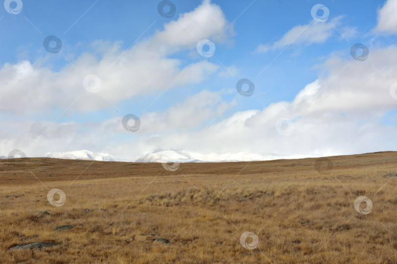 Скачать Холмистая бескрайняя степь с сухой травой у подножия горного хребта с заснеженными вершинами в облаках солнечным осенним днем. фотосток Ozero