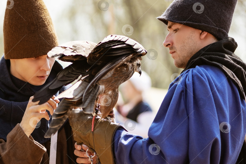 Скачать 01 мая 2018 года, Москва, Россия - Двое мужчин в исторических костюмах сокольничих готовятся к соколиной охоте, держа в руках прирученную птицу-сокола фотосток Ozero