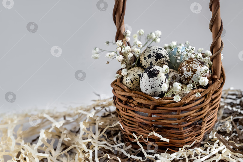 Скачать Пасхальные яйца в плетеной корзине, украшенной белыми цветами. Поздравительная корзина с праздником Пасхи фотосток Ozero